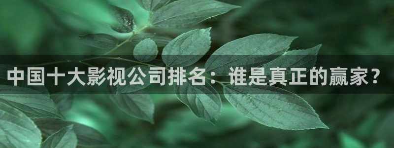 福利木瓜电影：中国十大影视公司排名：谁是真正的赢家？