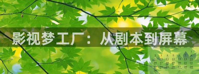 木瓜片：影视梦工厂：从剧本到屏幕