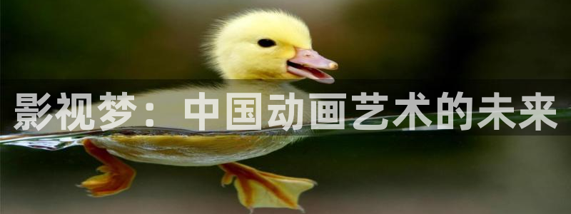 木瓜片价格