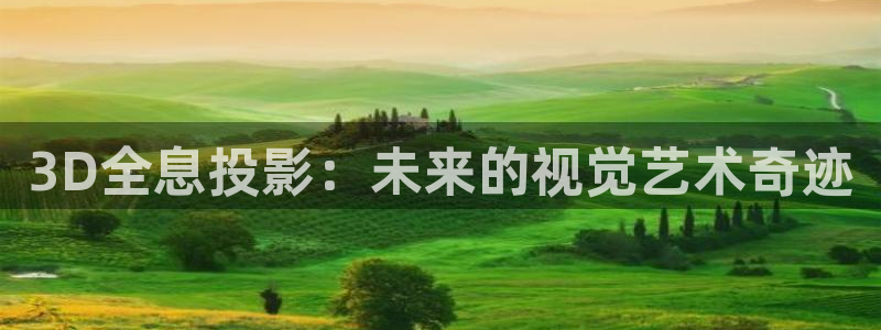 木瓜影院妈妈的朋友：3D全息投影：未来的视觉艺术奇迹