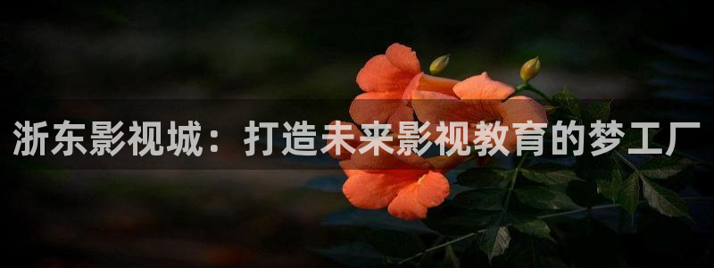 木瓜影院高清影院