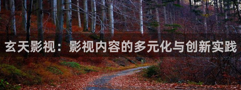 木瓜免费电影：玄天影视：影视内容的多元化与创新实践